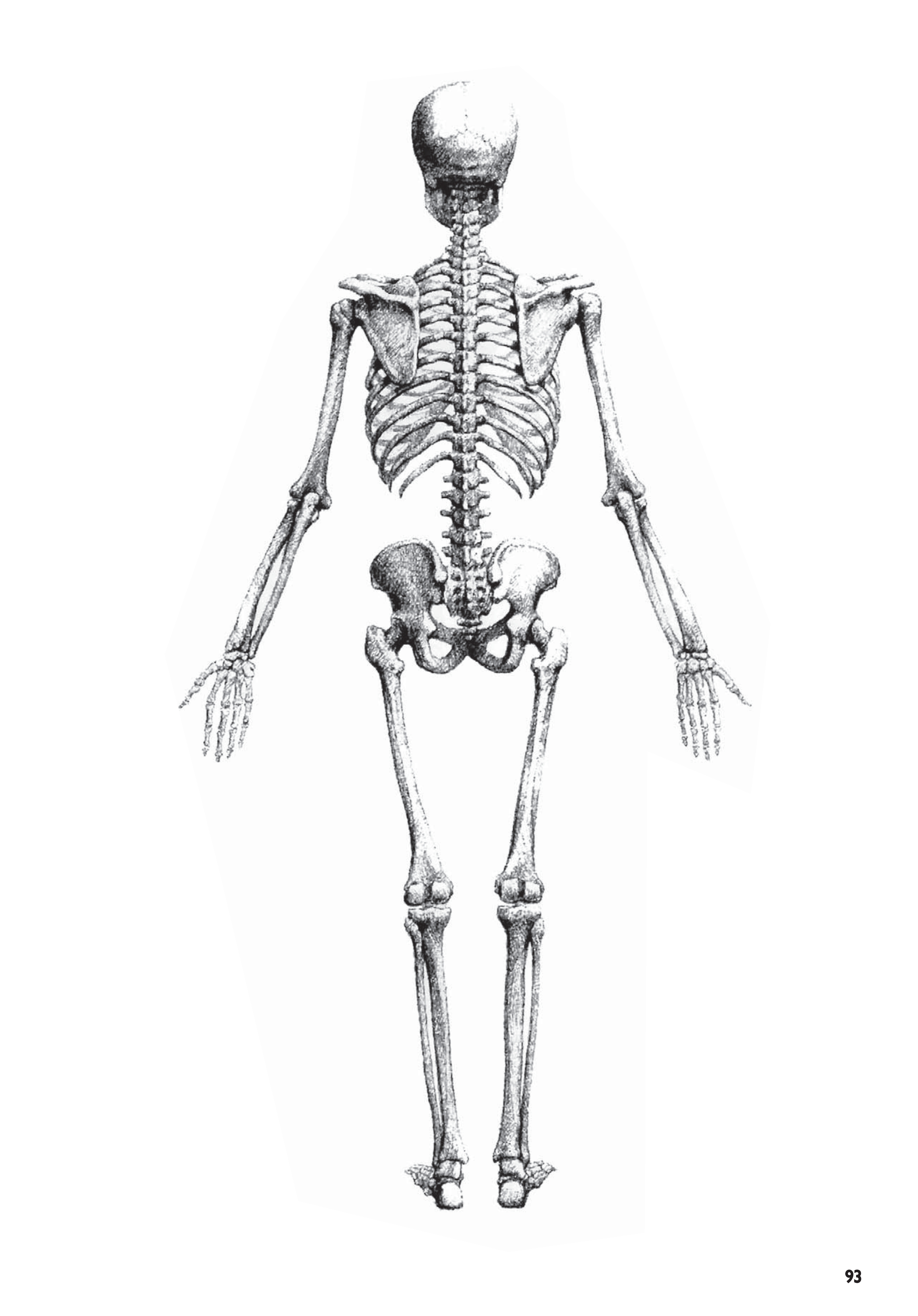 آموزش نقاشی طراحی سیاه قلم شهرری